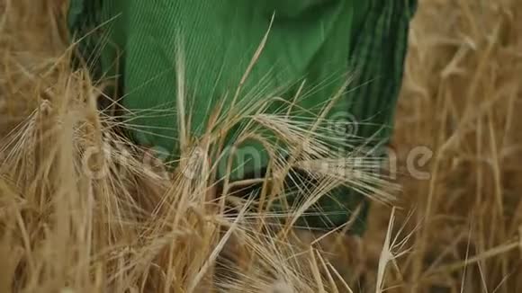 年轻的红发女人穿着绿色的裙子在傍晚的麦田里成熟小麦的金田慢动作视频的预览图