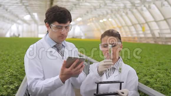 女性男性化学实验室工作人员对植物样品进行硝酸盐含量测试视频的预览图