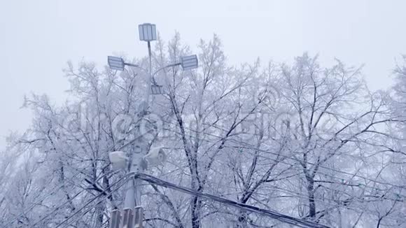 冬天雪树背景上的路灯和电源线视频的预览图