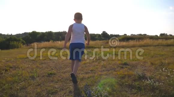 在阳光明媚的日子里小男孩在草地上奔跑快乐微笑的男孩子在大自然中享受乐趣视频的预览图