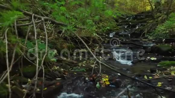 沿山河流的青湿苔藓石质视频的预览图