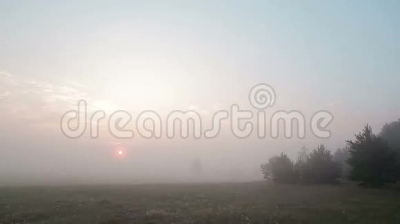 夏天早晨一片雾蒙蒙的草地和树木上日出的时间视频的预览图