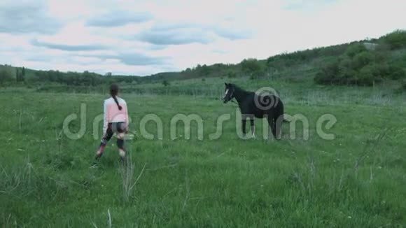 一个年轻的女人正沿着田野走旁边是一匹黑白马一个漂亮的女孩和一匹马在田野里视频的预览图