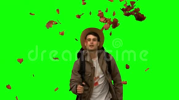 一个人走在树叶下飘落在绿屏上视频的预览图
