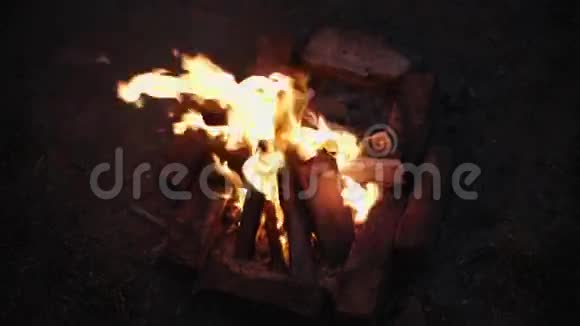 篝火在晚上点燃视频的预览图