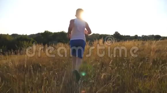 在阳光明媚的日子里小男孩在草地上奔跑儿童在户外草坪上用阳光慢跑视频的预览图