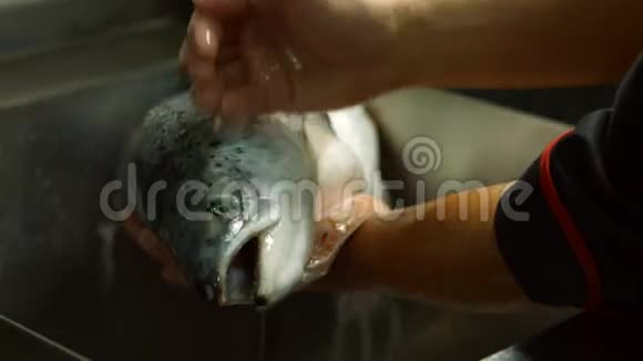 人的手洗一条鱼视频的预览图