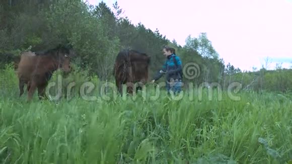 美丽的年轻女子正在给她的马喂草一个带蒲公英的女孩用干草喂两匹马视频的预览图