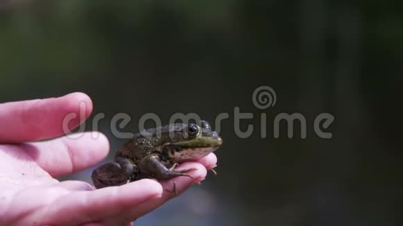 绿蛙在儿童腮腺炎的手中慢动作视频的预览图
