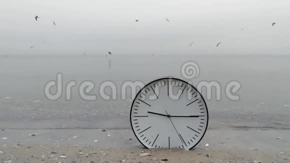 时间概念背景沙中墙钟飞海海鸥视频的预览图