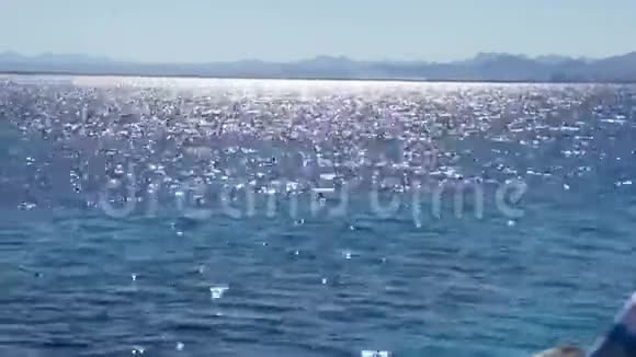 夏季红海景观视频的预览图