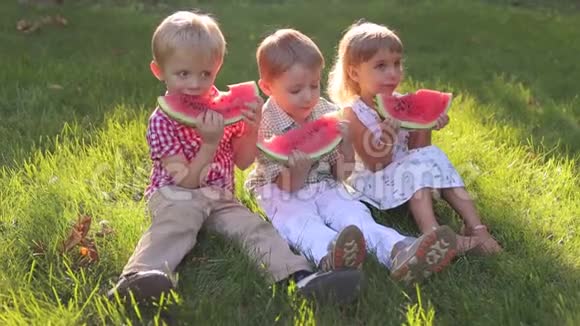 三个快乐的孩子夏天在公园里吃西瓜视频的预览图