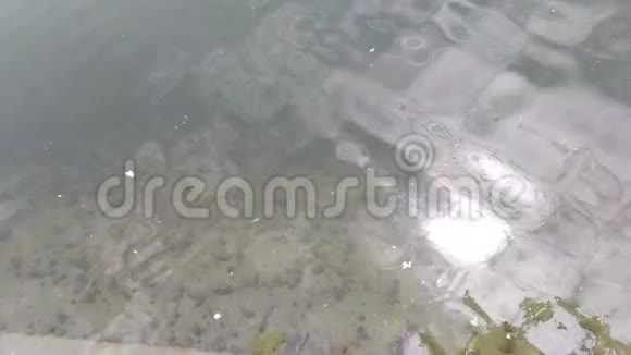 丹博维塔河的慢镜头视频的预览图