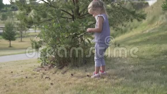 小女孩在公园里散步视频的预览图