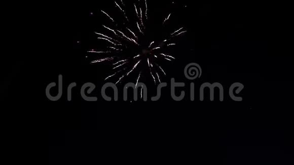 美丽的节日烟火五彩缤纷的烟花在夜空中爆炸视频的预览图