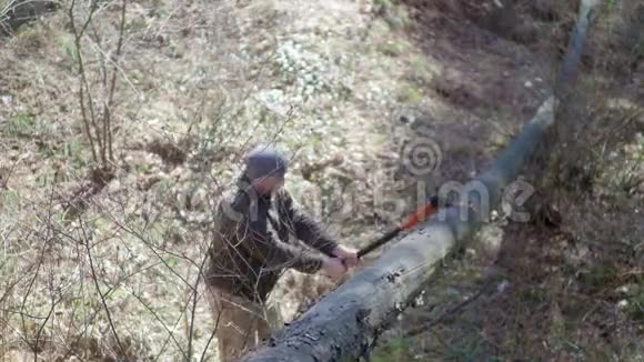资深伐木工人在森林里用斧头砍树视频的预览图