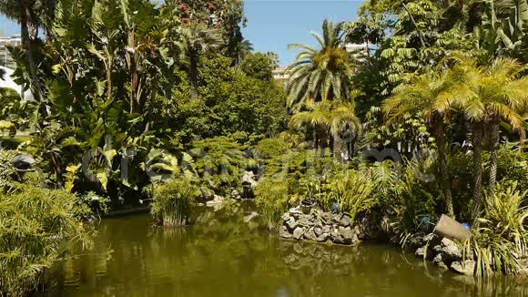 摩纳哥有地中海植物的公园视频的预览图
