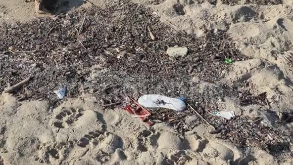环境污染沙滩被塑料垃圾污染海滩上的微型塑料碎片视频的预览图