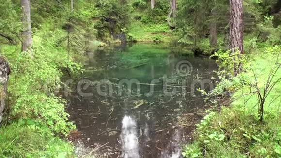 在奥地利纳斯雷思的费尔帕斯的绿色森林湖上下雨视频的预览图