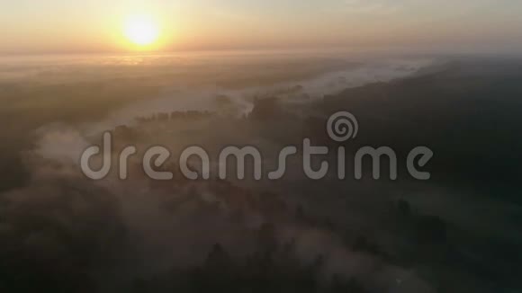 日出无人驾驶飞机拍摄的雾状河流和树林上方的画面视频的预览图