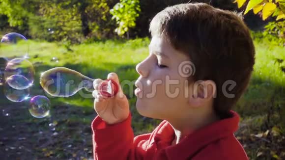 在秋天的森林里吹肥皂泡的男孩视频的预览图