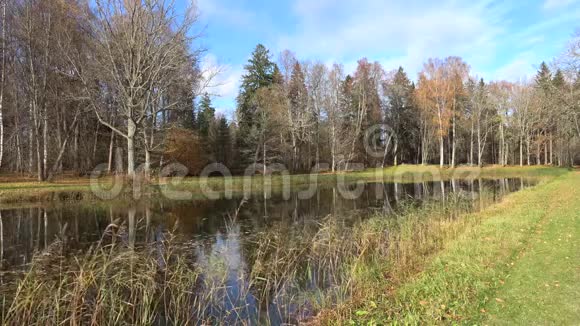 十月阳光明媚的日子里的老池塘普希金山脉三角山俄罗斯视频的预览图