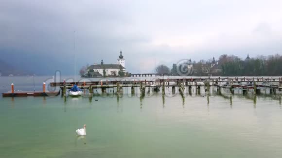 奥地利格蒙登特劳恩湖上的天鹅视频的预览图