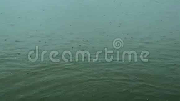 雨水落在池塘湖泊或河流的水面上视频的预览图