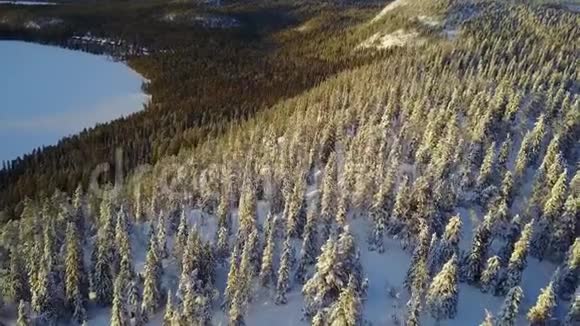 鸟瞰美丽的拉普兰冬季景观奇妙的白雪皑皑的树木特写视频的预览图