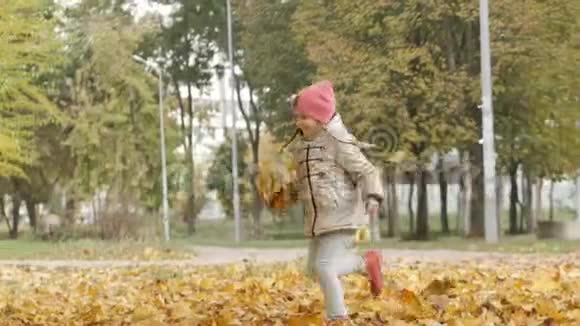 妈妈和小女儿在秋天公园玩得很开心黄色落叶的山谷视频的预览图