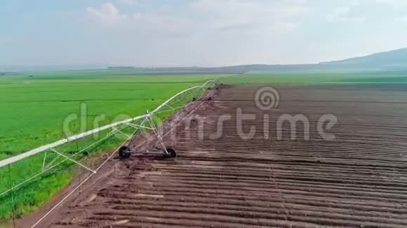 以色列北部一片绿色麦田的空中镜头视频的预览图