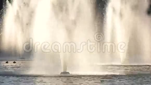 喷泉在运动视频的预览图