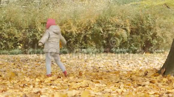 秋天公园的快乐孩子小女孩在秋天的公园里玩视频的预览图