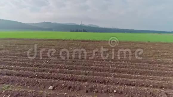 以色列北部一片绿色麦田的空中镜头视频的预览图