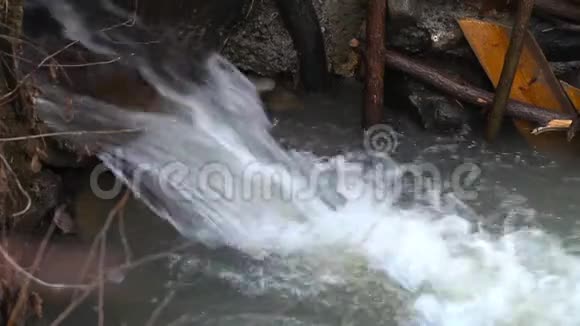 雨后小溪里的水流视频的预览图