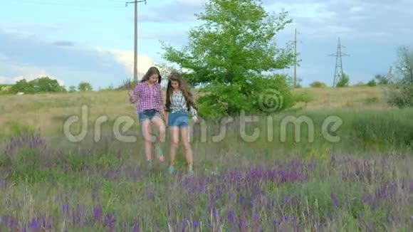 两个女朋友在盛开的田野散步视频的预览图