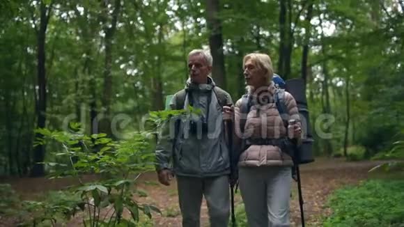 令人愉快的老年夫妇沿着森林里的小路走着视频的预览图