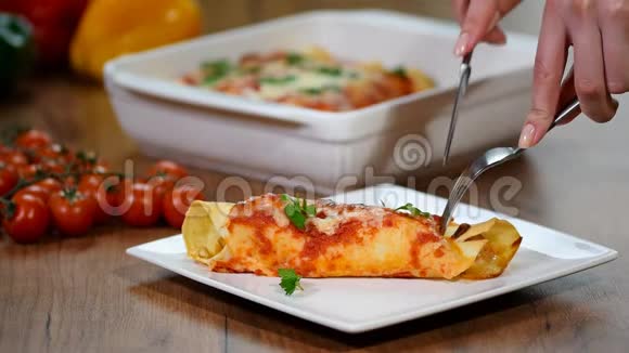 传统墨西哥炸玉米饼配鸡肉辣番茄酱和奶酪墨西哥菜视频的预览图