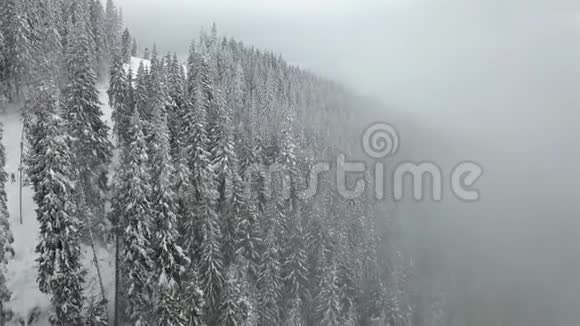 在雾中在山区的雪堆上的鸟瞰图视频的预览图