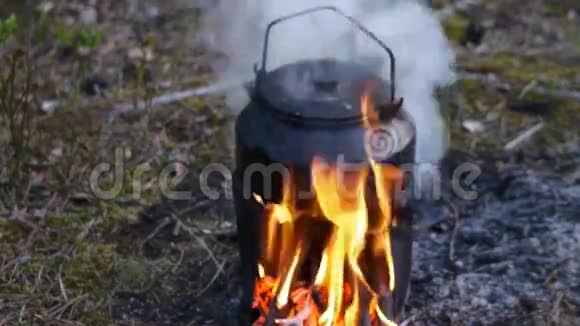 在一个露营的火堆上视频的预览图