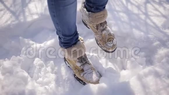 一个年轻女孩跳起来保暖的腿那个女人在一个白雪覆盖的冬季公园里冻僵了特写镜头视频的预览图
