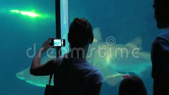 一家人在拍鲨鱼视频的预览图