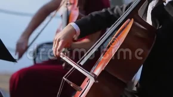 玩大提琴的人视频的预览图