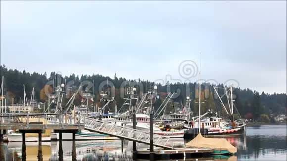 清晨码头上满是船视频的预览图