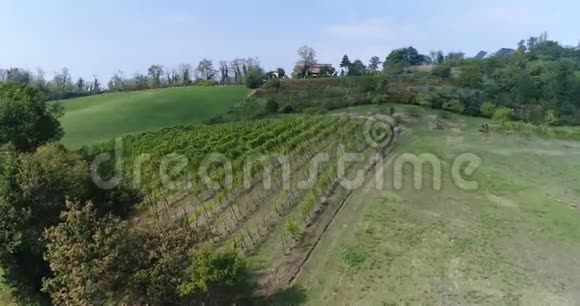 意大利山坡上的葡萄园葡萄园之间的小山上的房子山坡上的一排排葡萄园空中小屋视频的预览图