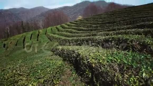 山上自然迷宫的奇妙景色视频的预览图