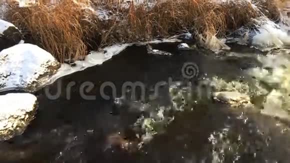 石头上有雪的河流视频的预览图