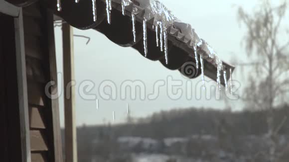 融化冰柱悬挂在边缘屋顶在冬季景观从春天闪耀融化的冰柱上偷听视频的预览图