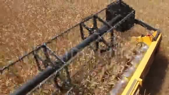 联合收割机割麦穗的转子视频的预览图