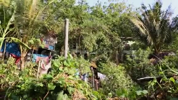巴布亚新几内亚乡村景观视频的预览图